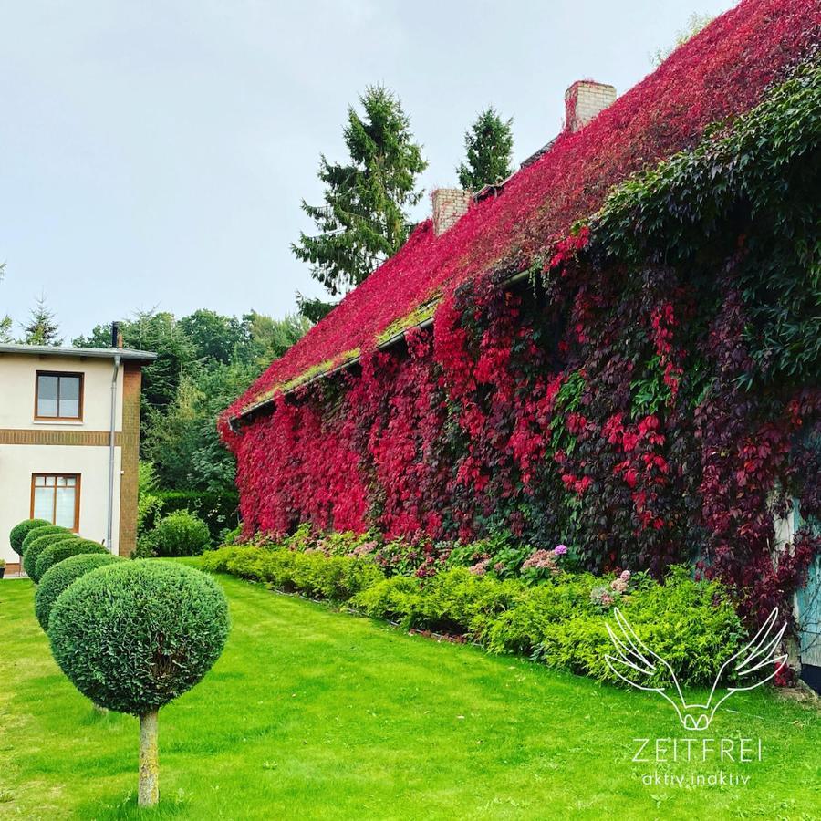 Zeitfrei Urlaubsappartememts & Veranstaltungsort Steffenshagen المظهر الخارجي الصورة